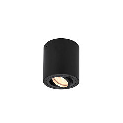 Ceiling luminaire TRILEDO CL, GU10 QPAR51, 30� swiveling, cylinder, black