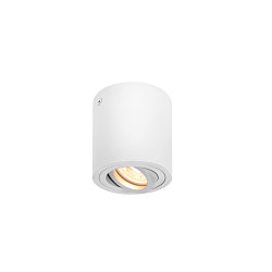 Ceiling luminaire TRILEDO CL, GU10 QPAR51, 30� swiveling, cylinder, white