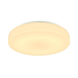 LED Outdoor Wall and Ceiling luminaire LIPSY 50 Drum, IP44, 3000/4000K, � 40cm, 21W, white