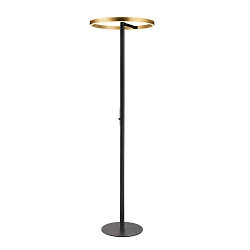 floor lamp ONE STRAIGHT FL up / down, brass, black dimmable