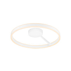 wall and ceiling luminaire ONE PHASE �60CM up / down, CCT Switch, ring shape IP20, white matt dimmable