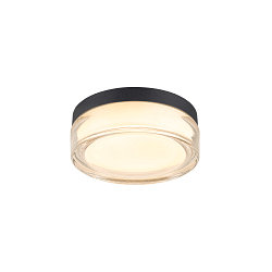 wall and ceiling luminaire CYFT XL IP65, black, lacquered dimmable