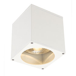 Wall luminaire BIG THEO CEILING OUT, ES111, max. 75W