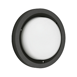 outdoor wall luminaire TYPE NO 6421 IP54, opal, black dimmable
