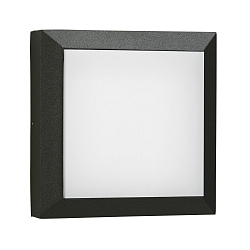 Outdoor LED Wall and Ceiling luminaire Type No. 6562, IP54 IK08, 32 x 32cm, 20W 3000K 2000lm, cast alu, dimmable, black matt