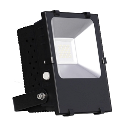 Blulaxa LED Floodlight 100W, 110�, cool white