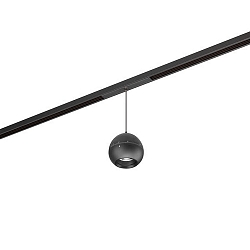 track pendant luminaire PEPA BALL 15�-55� down, DALI controllable, focusable IP20, black matt dimmable