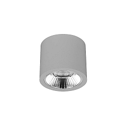 downlight APOLLO MAXI round, DALI controllable, faceted IP20, powder coated, silver dimmable