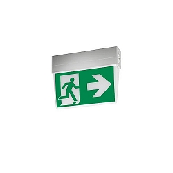 emergency luminaire EKW IP41, silver