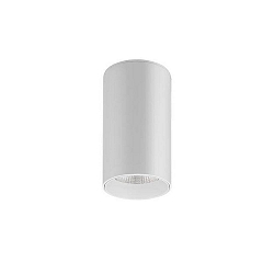 surface luminaire TRAXX MAXI round, direct IP20, white dimmable