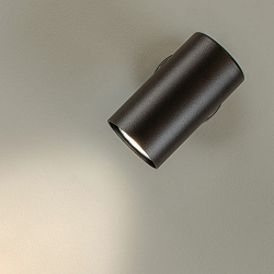 spot TUBUS rotatable, tiltable GU10 IP20, brushed aluminium dimmable