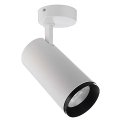 ceiling luminaire LUCEA TILT 30 CCT Switch, adjustable IP20, transparent, traffic white dimmable