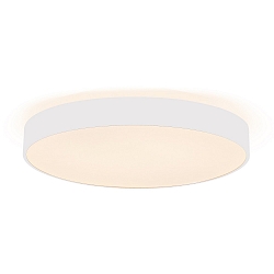 wall and ceiling luminaire MENKAR 60 IP20, white