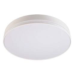 Wall / Ceiling luminaire SUBRA, Triac, 220-240V AC/50-60Hz, 29W, white, 4000K