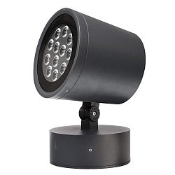 Floor- / Wall / Ceiling luminaire COLT 36W RGBWW, 24V DC, 36W, black