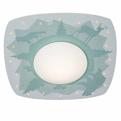 LED Ceiling luminaire SCANDI �WALD� LED board + 20 LED, 11W, 3000K, mint green