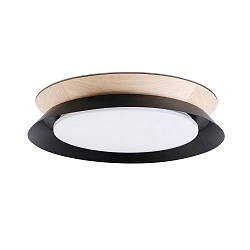 wall and ceiling luminaire TENDER LED IP20, black matt 