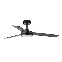 Ceiling fan BARTH with remote control IP20, black matt
