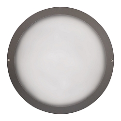 outdoor wall luminaire IP65, anthracite 