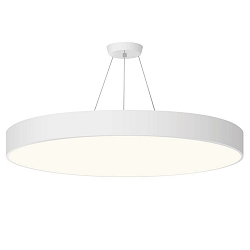 Wire suspension for LED Ceiling and Pendant luminairen, incl. canopy, pendant length max. 1m