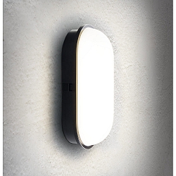 LED Wall / Ceiling luminaire TOLEDO Outdoor luminaire, 20W, 4000K, 1600lm, IP65, black