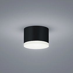 ceiling luminaire PALA IP30, satined, black matt dimmable