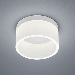 LED Ceiling luminaire LIV 20 LED Bathroom luminaire, IP30, white matt