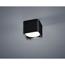 ceiling luminaire DORA square IP20, satined, black matt 
