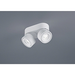 ceiling luminaire NAKA 30W 2 flames, adjustable IP20, white matt dimmable