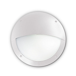 Outdoor luminaire LUCIA-2 AP1 Wall luminaire, 1 flame, E27