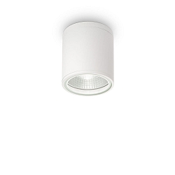 Outdoor luminaire GUN PL1 Ceiling luminaire, 1 flame, GU10, 28W, white
