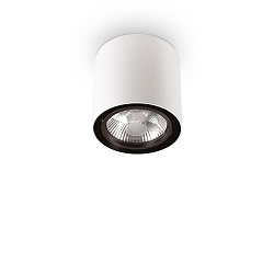 Downlight MOOD ROUND QPAR111, � 15cm, incl. GU10 50W 2700K, pivotable