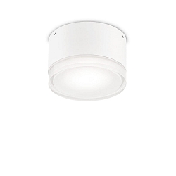 Outdoor wall / ceiling luminaire URANO SMALL, � 12cm, GX53 max. 15W, aluminium / acrylic, matt anthracite