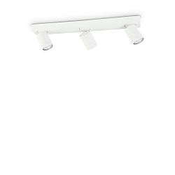 Wall / Ceiling luminaire RUDY, 3 flames, GU10, adjustable, white