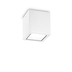 outdoor ceiling luminaire TECHO BIG square GU10 IP54, white dimmable