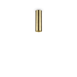 ceiling luminaire LOOK PL1 H20 cylindrical, on/off GU10 IP20, brass, satined 
