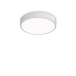 ceiling luminaire RAY 40 IP44