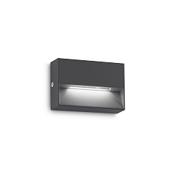 outdoor wall luminaire DEDRA IP65, anthracite 