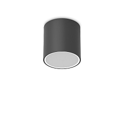 outdoor ceiling luminaire TECHO D15 round GU10 IP54, black 