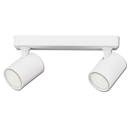 Wall- and ceiling luminaire GU10 Dual, 2 flame, IP20, swivelling, excl. lamps, aluminium, matt white