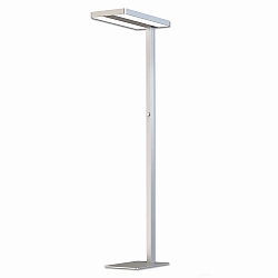 LED Office Pro standing luminaire Up+Down, 40+40W, UGR<19, silver, neutral white, dim-control