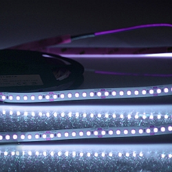 LED Strip CRI FOOD FLEX FISH 2-pole white
