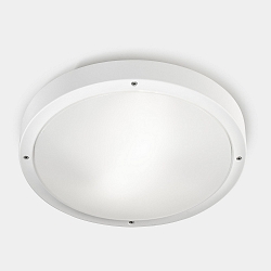 wall and ceiling luminaire BASIC E27 IP66