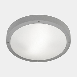 wall and ceiling luminaire BASIC E27 IP66