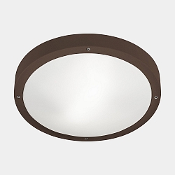 wall and ceiling luminaire BASIC LED IP66