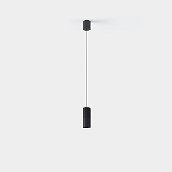 pendant luminaire IRIS PENJANT switchable IP20, black 
