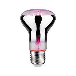 LED Growth light Filament Lamp / Grow Green Reflector R63, 230V, E27, 6.5W 1300K 200lm 106�
