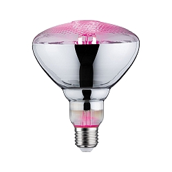 LED Growth light Filament Lamp / Grow Green Reflector PAR38, 230V, E27, 6.5W 1300K 200lm 115�