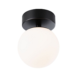 wall and ceiling luminaire GOVE IP44