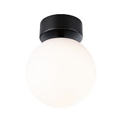 wall and ceiling luminaire GOVE IP44